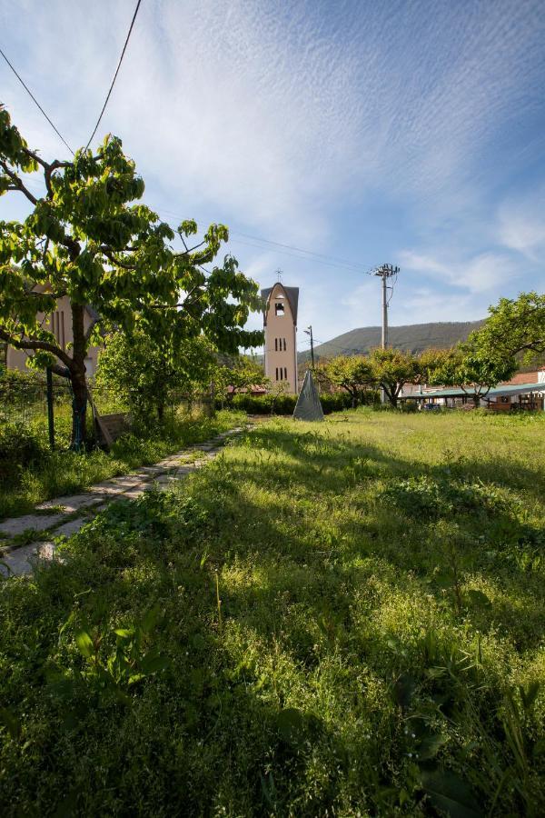 Apicella Casa Vacanze Villa Tramonti Exterior photo