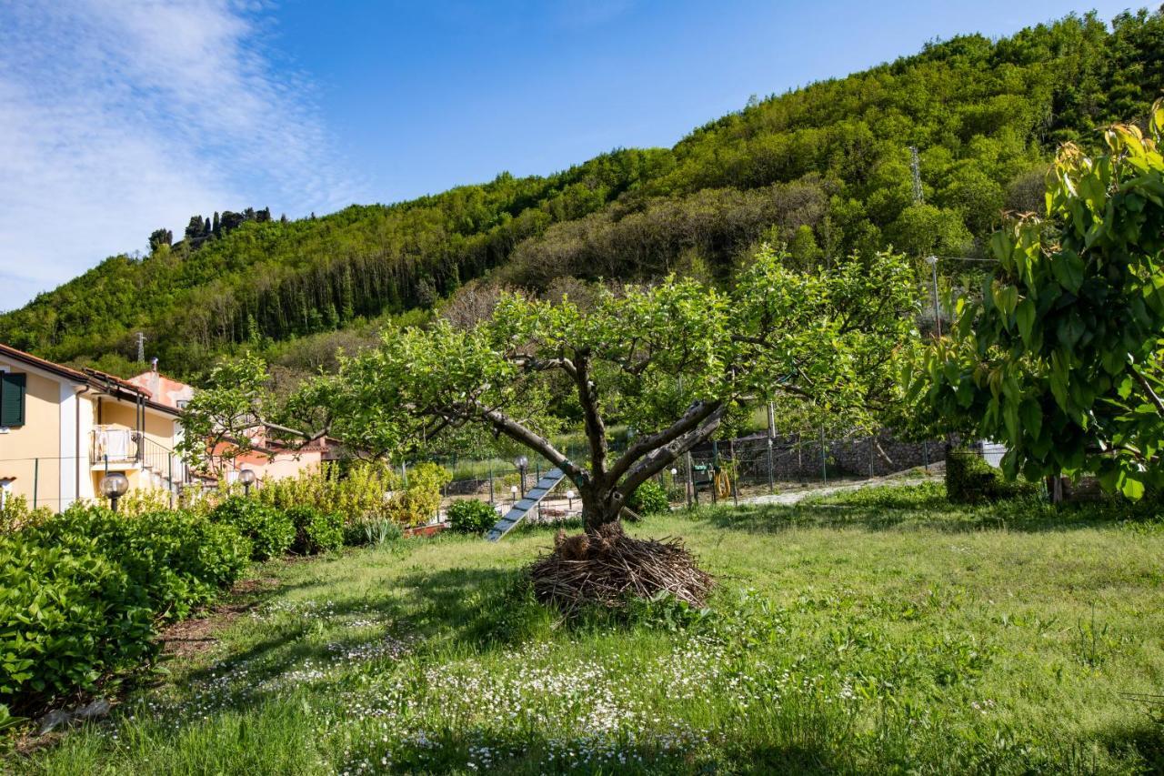 Apicella Casa Vacanze Villa Tramonti Exterior photo